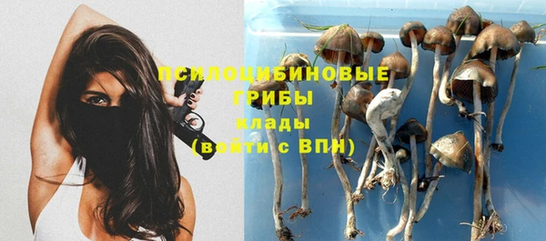 бутират Армянск