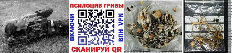 Псилоцибиновые грибы мухоморы  Шелехов 
